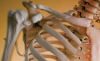 College of Health &amp; Rehabilitation Sciences