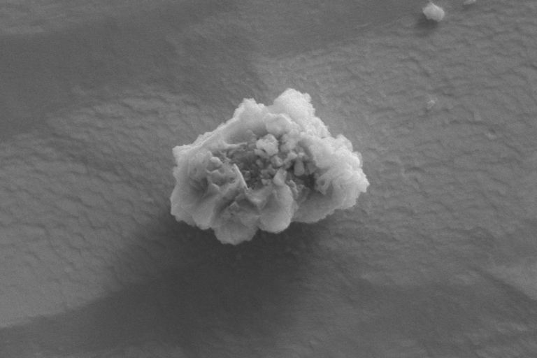 Microscopic flakes of presolar stardust